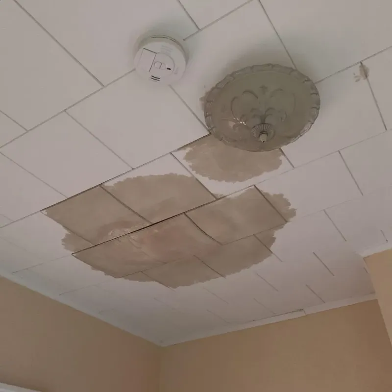 Ceiling Water Damage Repair in Ridgway, PA