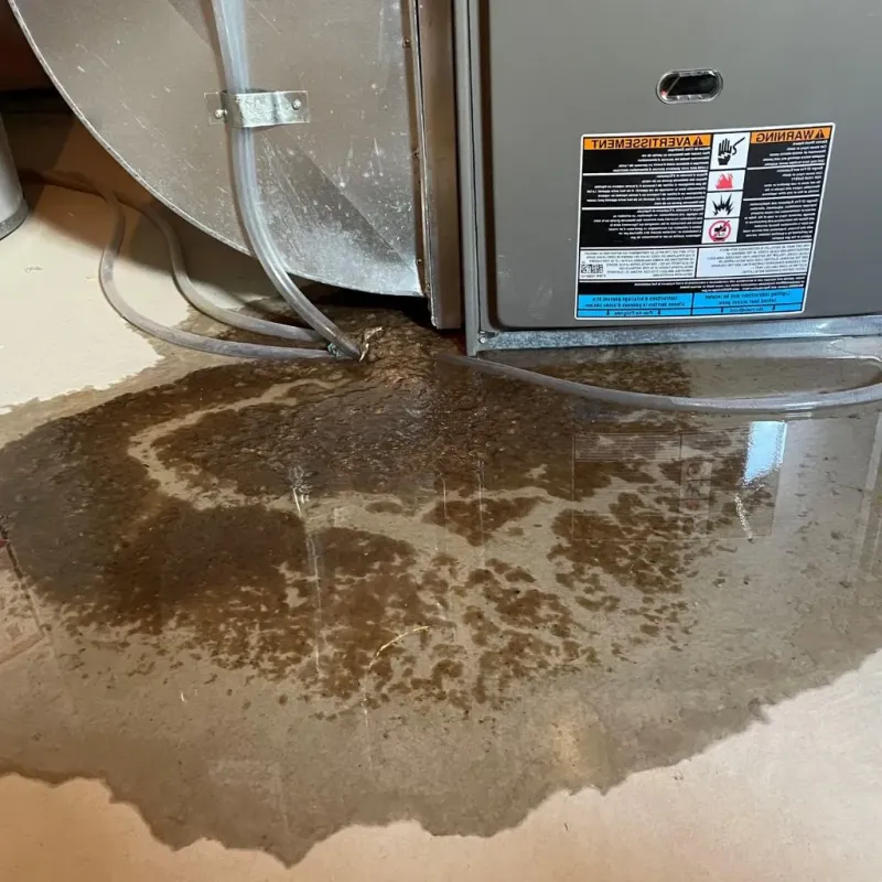 Pipe Burst and Leak Restoration in Ridgway, PA