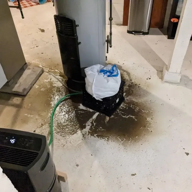 Sewage Backup Cleanup Service in Ridgway, PA